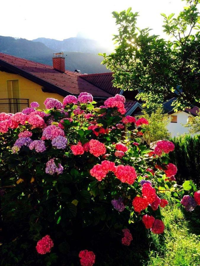 Cosy Cottage With Views Near 科巴里德 外观 照片